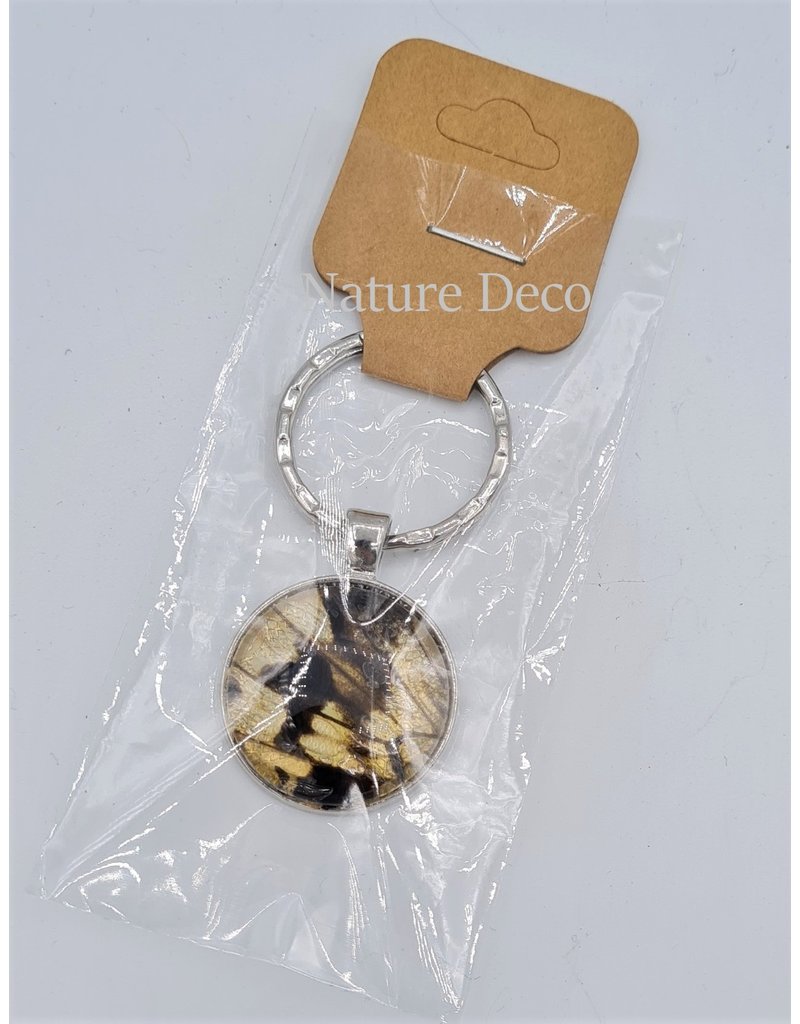 Nature Deco Sleutelhanger Dardanus