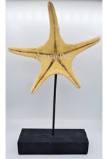 Nature Deco Starfish XXL on stand