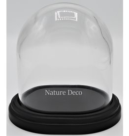 . Glass dome black oval small