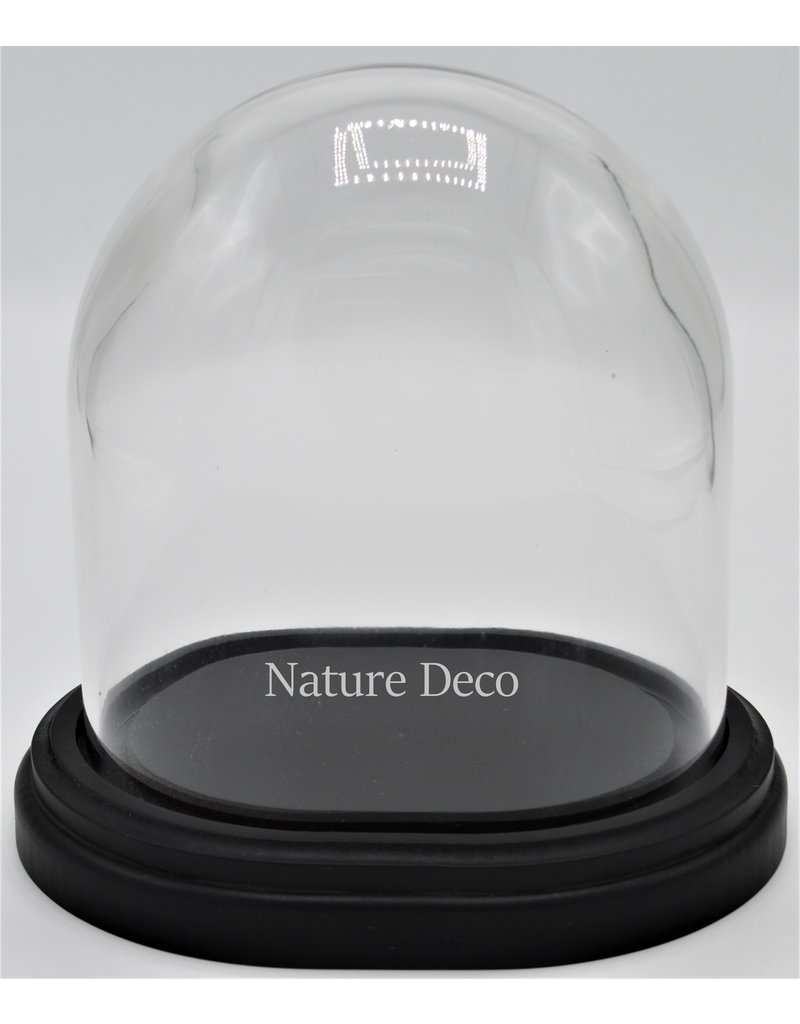 . Glass dome black oval small 17x14x18 cm