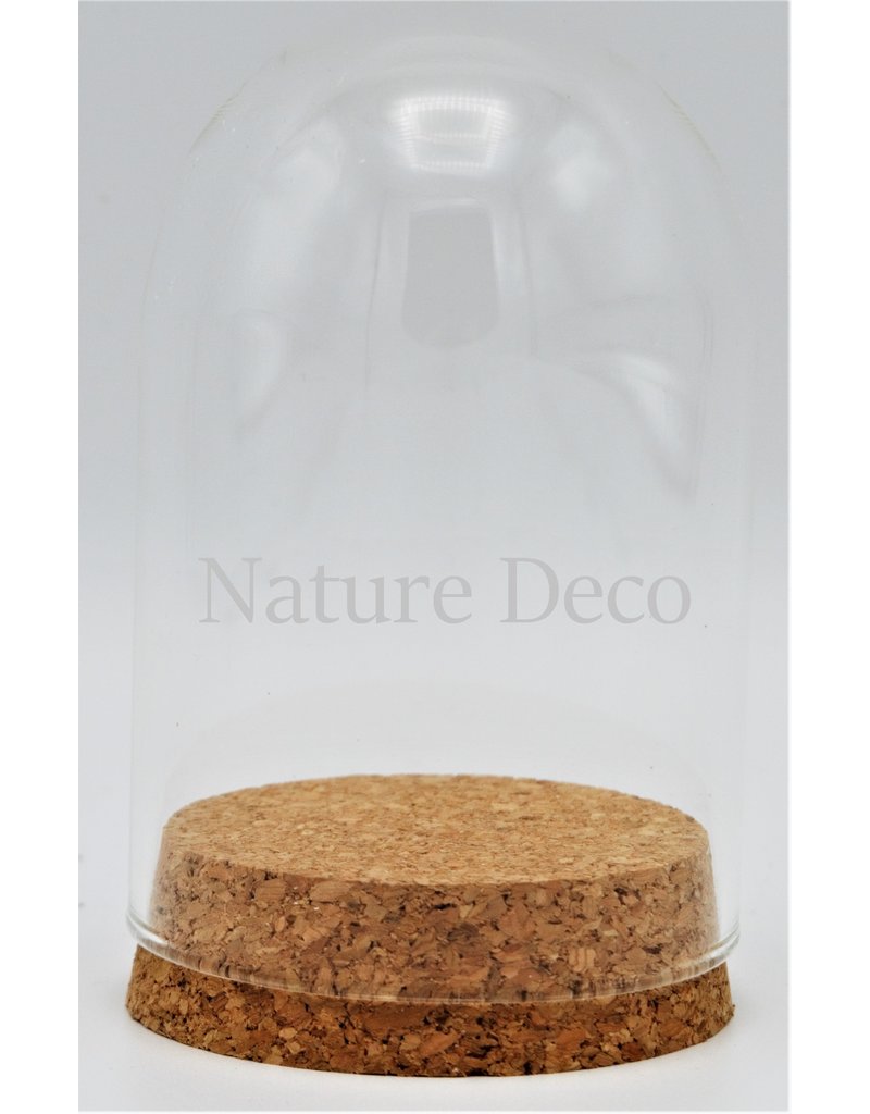 . Glass dome small cork 10 x 6,5cm