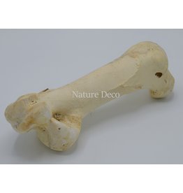 . Big ostrich bone nr 1