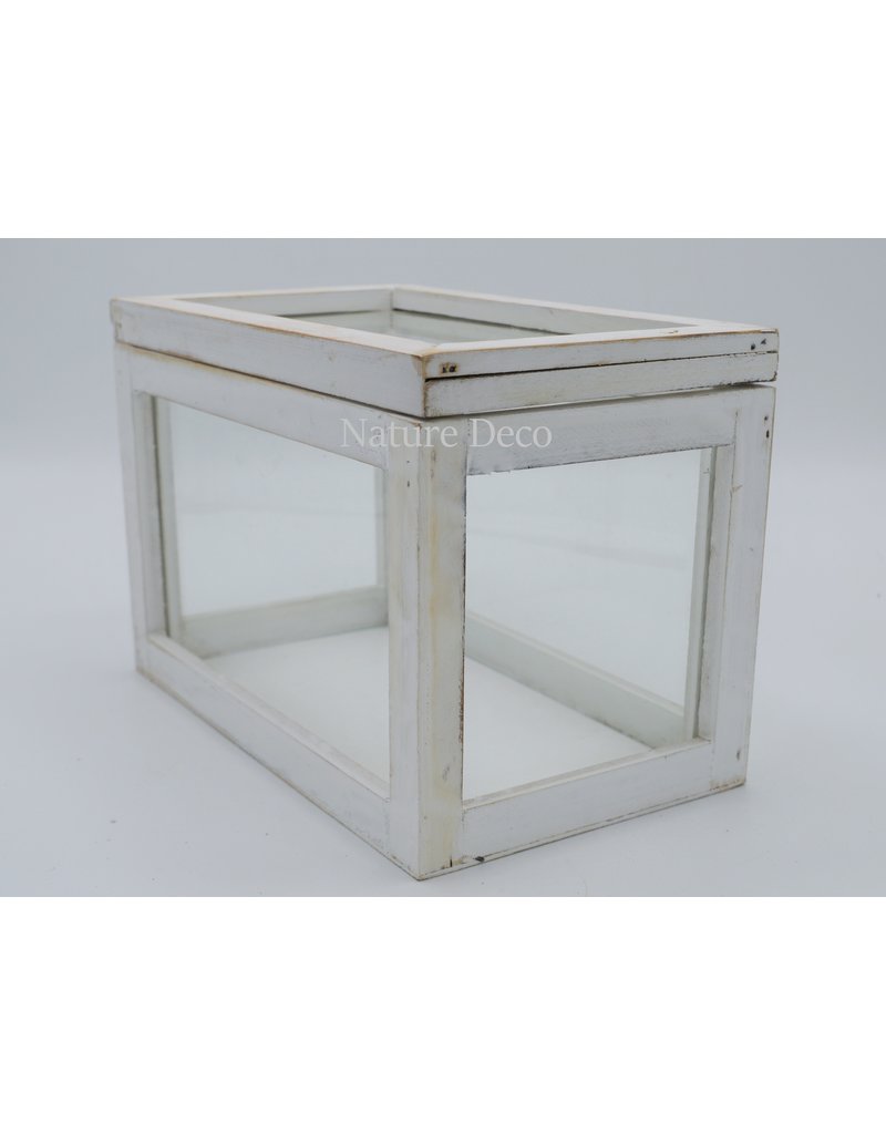 . Display box wit medium 23x14x16,2 cm (LxWxH)