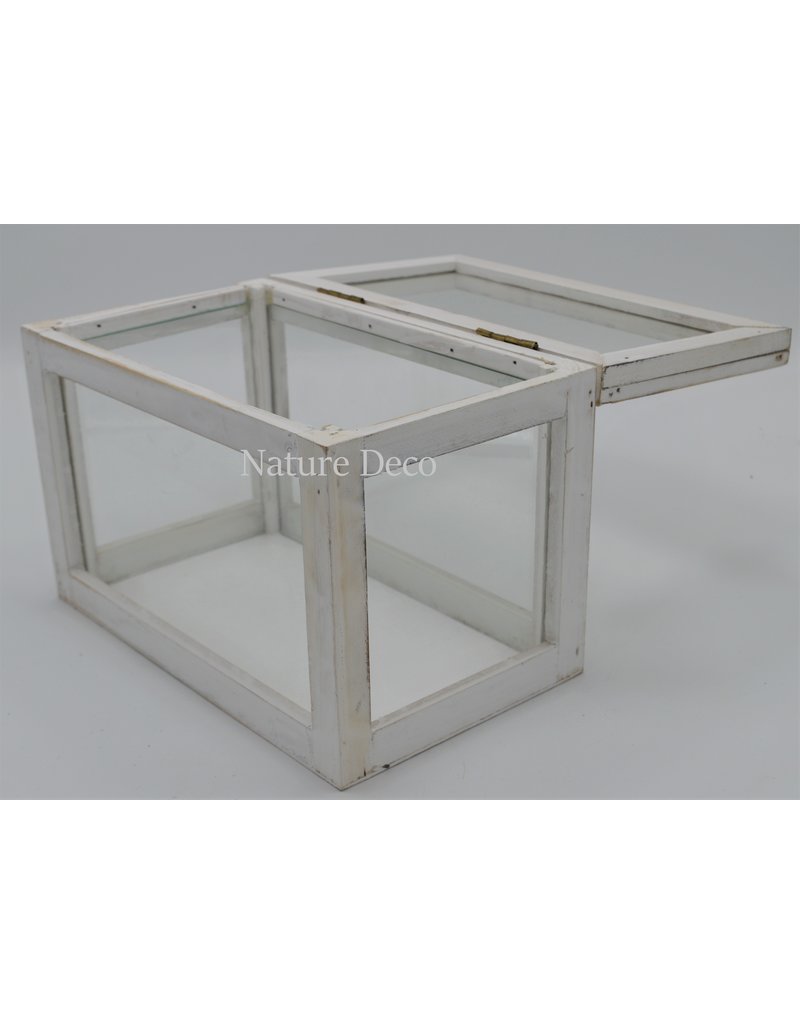 . Display box wit medium 23x14x16,2 cm (LxWxH)