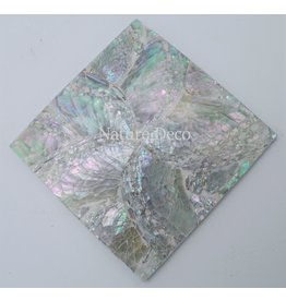 . Coaster Abalone shell