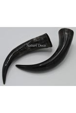 . Polished Cow Horn ca 30cm