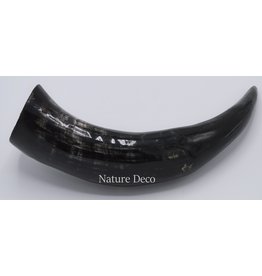 . Polished Cow Horn  30cm