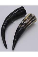 . Polished Cow Horn ca 22-25cm
