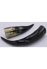 . Polished Cow Horn ca 22-25cm