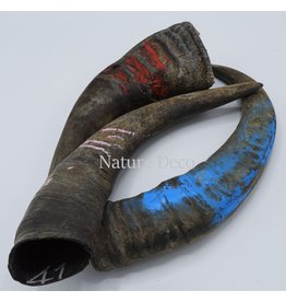 . Water buffalo horn  L Farmer Recognition