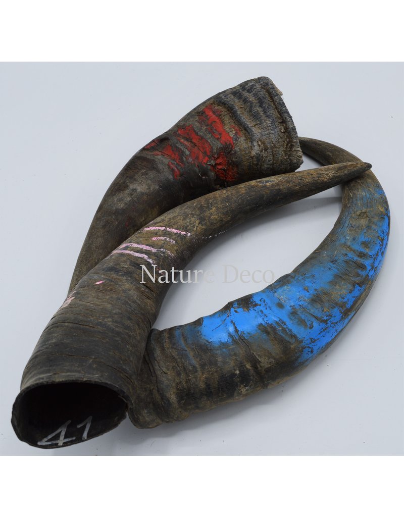 . Water buffalo horn  L Farmer Recognition