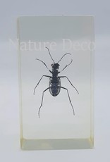 . Insect in resin #19 7 x 4cm