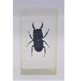 . Insect in resin #3
