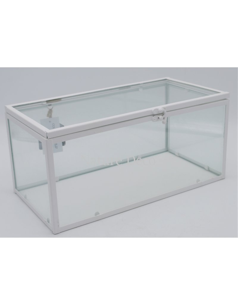 . Vitrine box wit ijzer 30x15x13,5cm