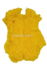 . Rabbitskin yellow