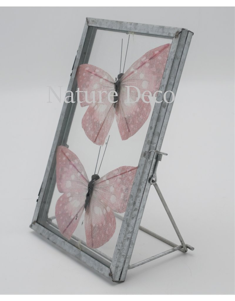 Glas frame  butterfly
