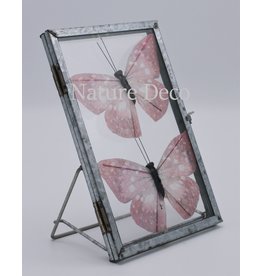 Glas frame vlinders