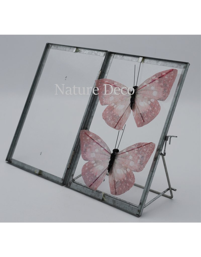 Glas frame  butterfly