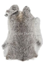 . Rabbit skin grey wild color