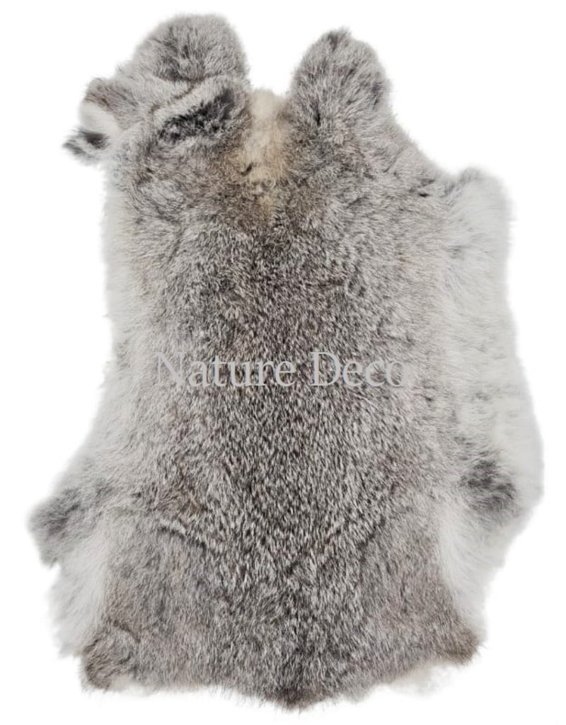 . Rabbit skin grey wild color