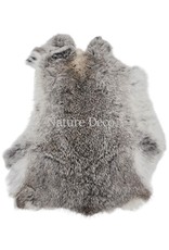 . Rabbit skin grey wild color