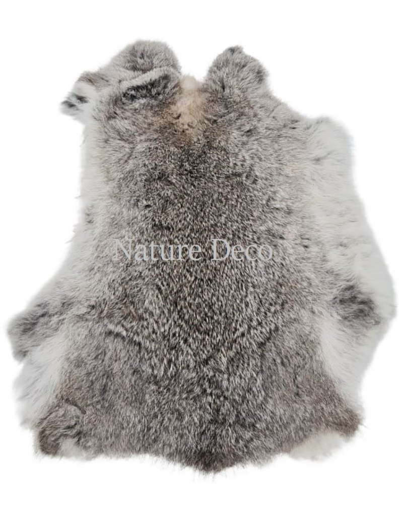 . Rabbit skin grey wild color