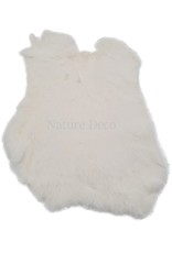 . Rabbit skin White