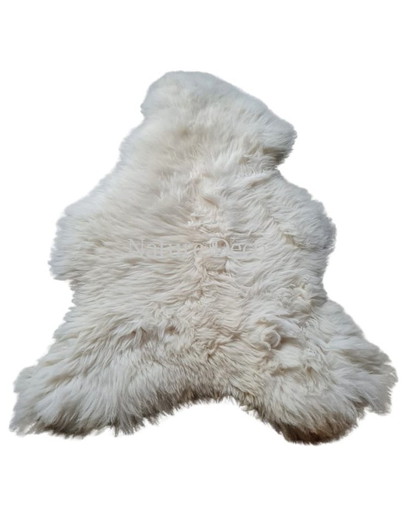 . Sheepskin white 2