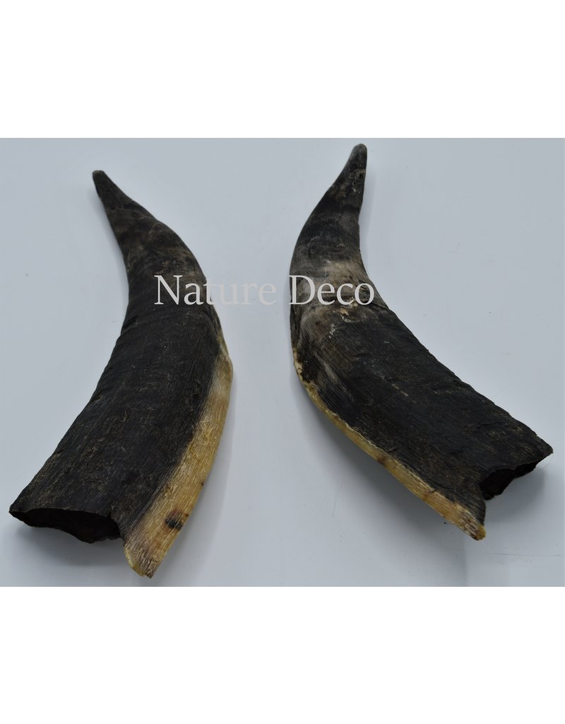 Nature Deco Horns set 4