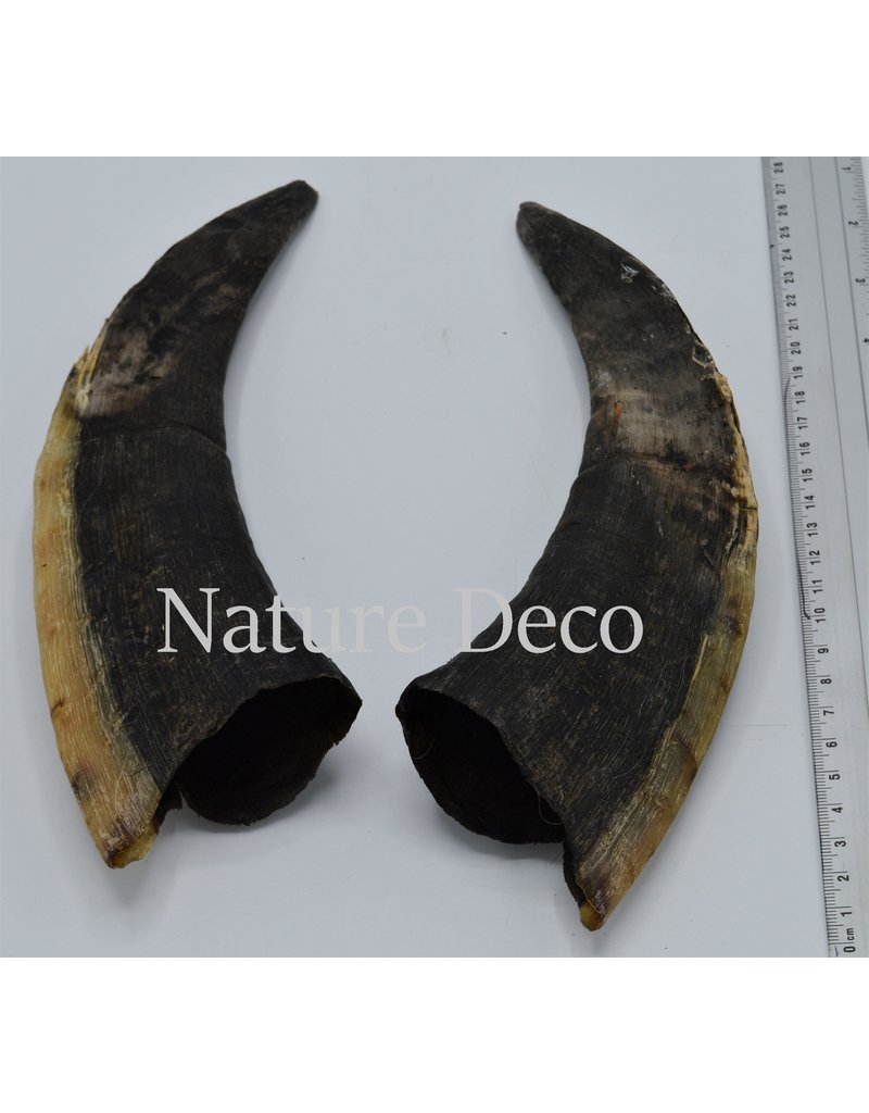 Nature Deco Horns set 4