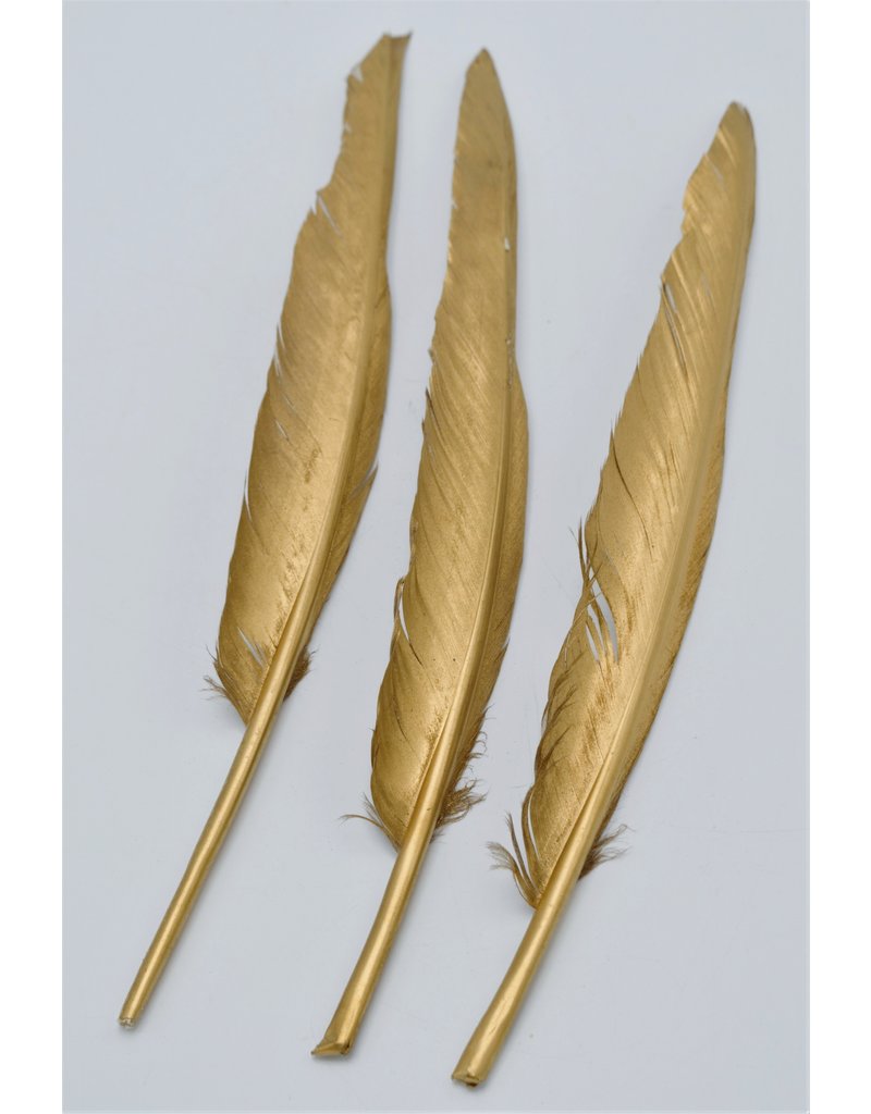 .  Golden Goose feather