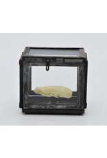 . Mol Schedel in box