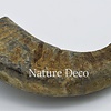 . Water buffalo horn  matt