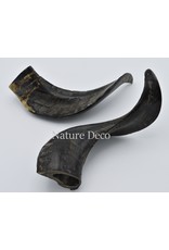 Nature Deco Sheep horn polish black