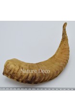 Nature Deco Sheep horn raw Blond