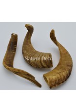 Nature Deco Sheep horn raw Blond