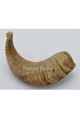 Nature Deco Sheep horn raw Blond