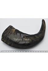 . Water buffalo horn  polished 15-22 cm