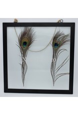 Peacock feathers in frame ca 35x35 cm