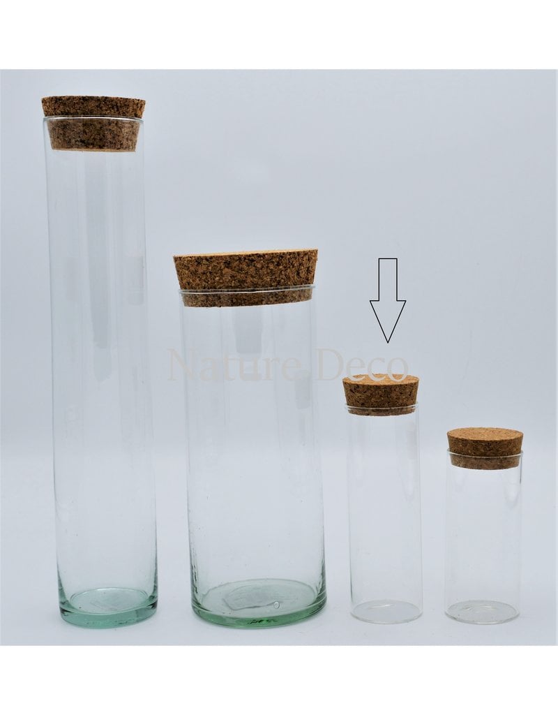 . Cilinder glas L 12cm stolp/buis kurk