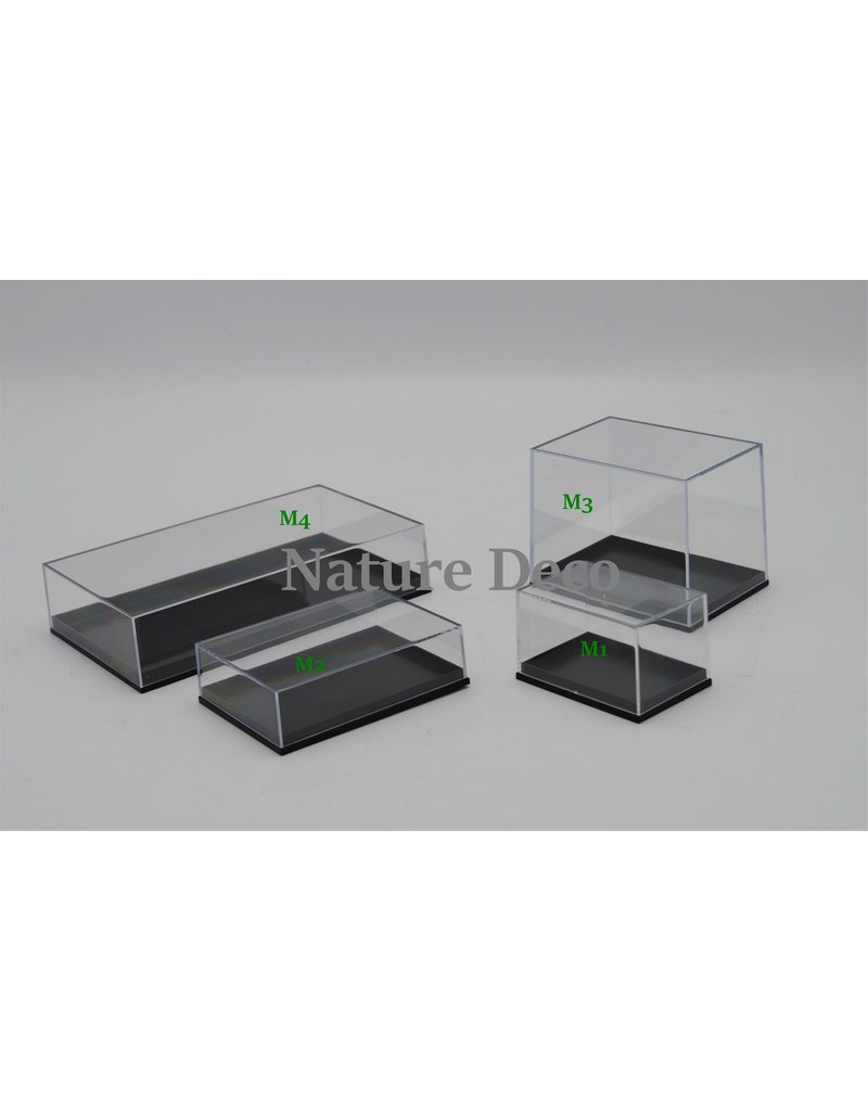 Insect box display showcase plastic model M2
