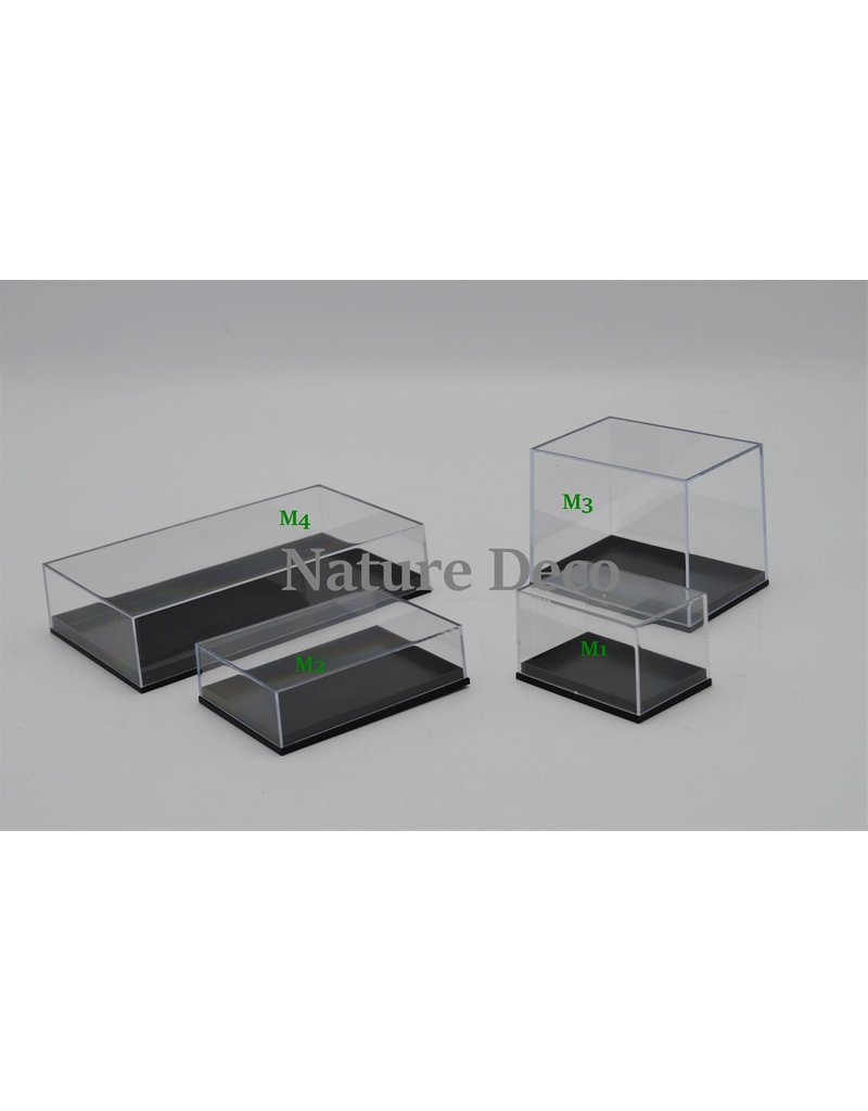 Plastic Collection Display Box  Insects Decor Transparent Box