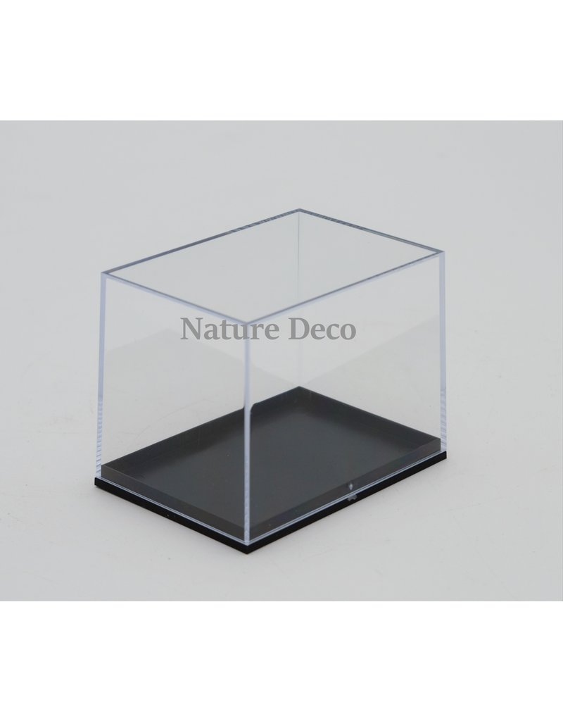 Insect box display showcase plastic model M3