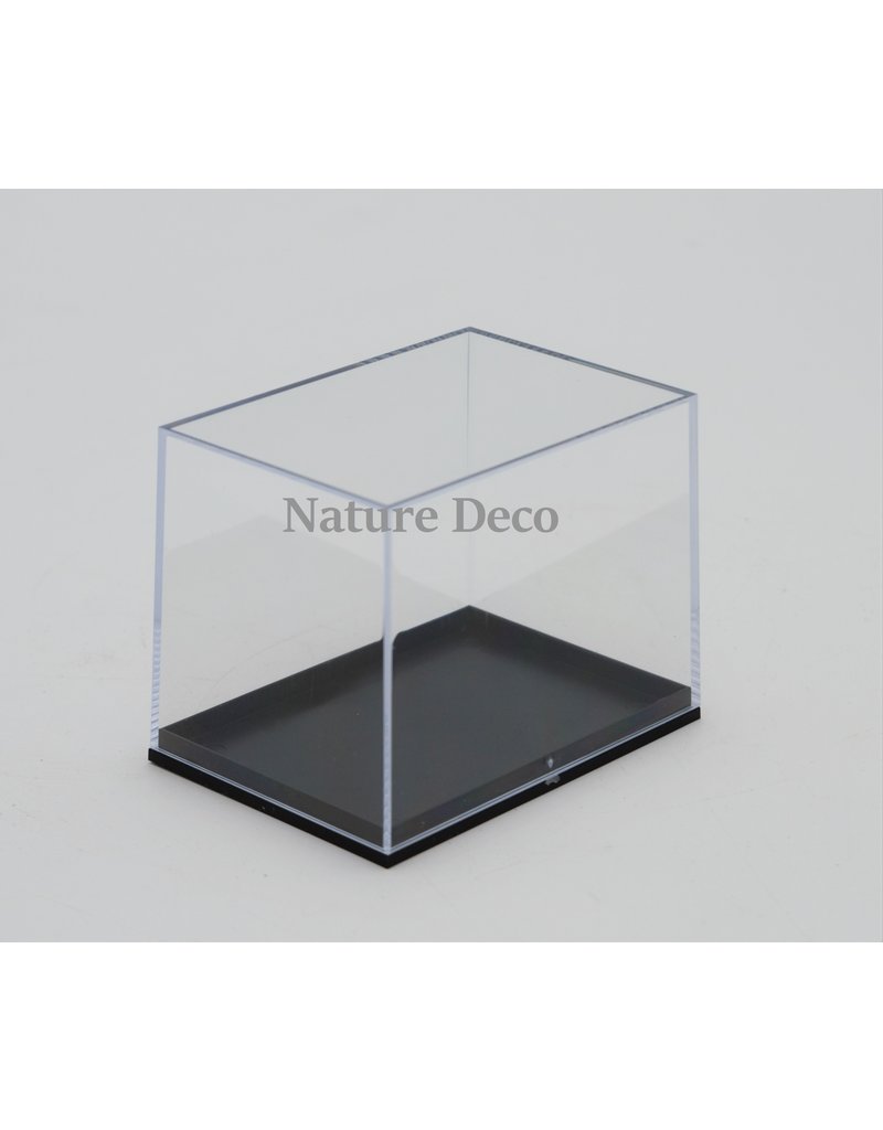 Insecten box doos showcase vitrine acrylaat model M3