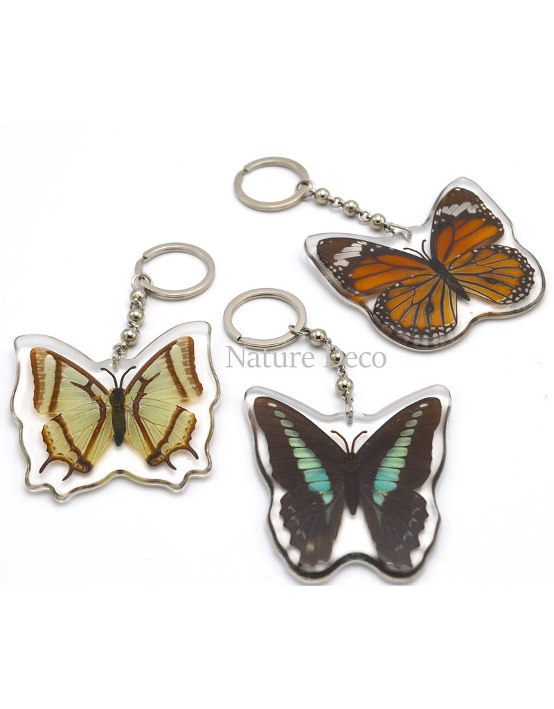 . Butterfly keychain #1 (Danaus plexippus)