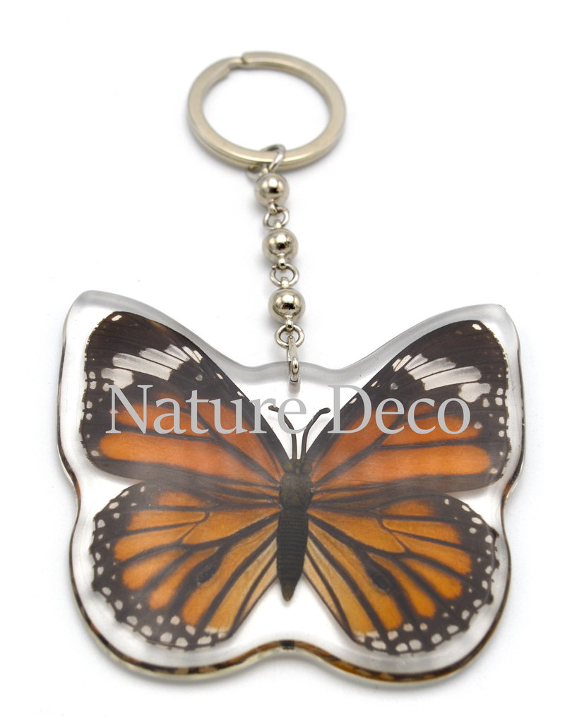 . Butterfly keychain #1 (Danaus plexippus)