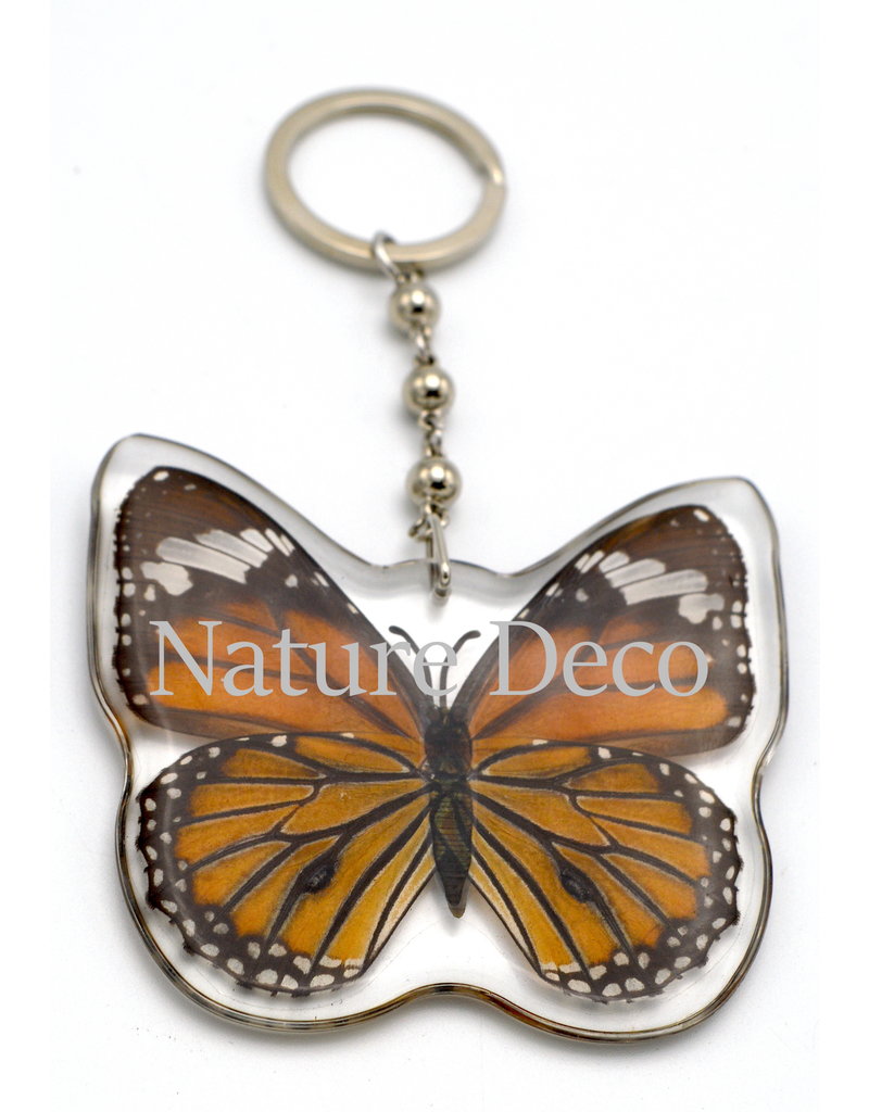 . Butterfly keychain #1 (Danaus plexippus)