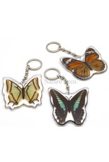 . Butterfly keychain #2 (Graphium Sarpedon)