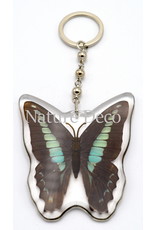 . Butterfly keychain #2 (Graphium Sarpedon)