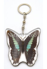 . Vlinder sleutelhanger #2 (Graphium Sarpedon)